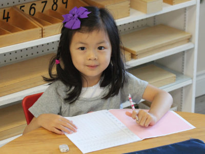 IMG_3732(1) IMG_3732(1)