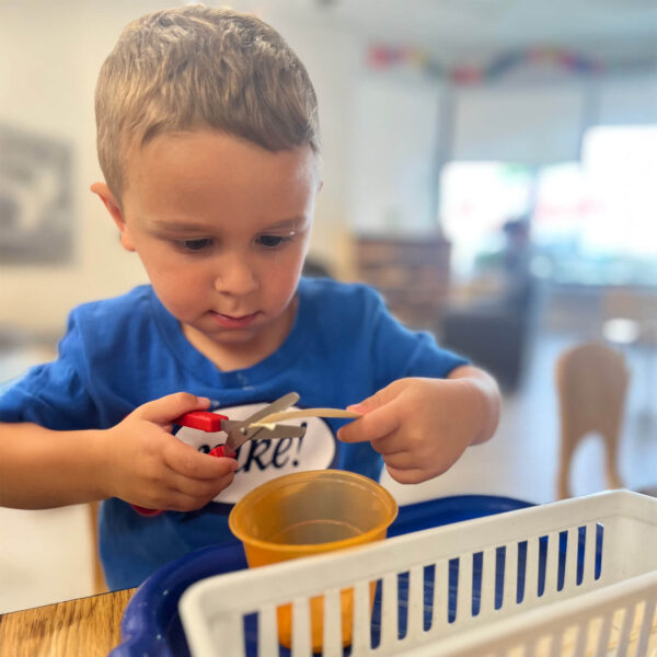 program-sensorial program-sensorial